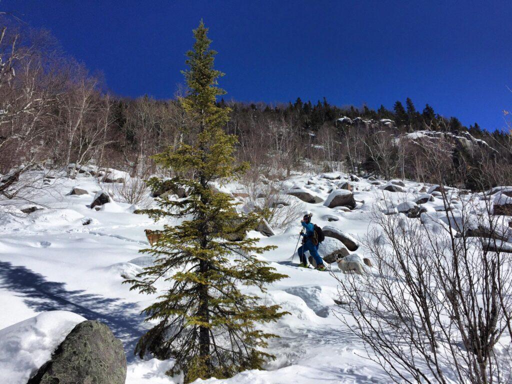 Raquette au mont Kaaikop : sentiers enneigés et paysages d’hiver à L’Interval.