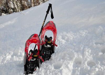 Raquette hivernale à L'interval
