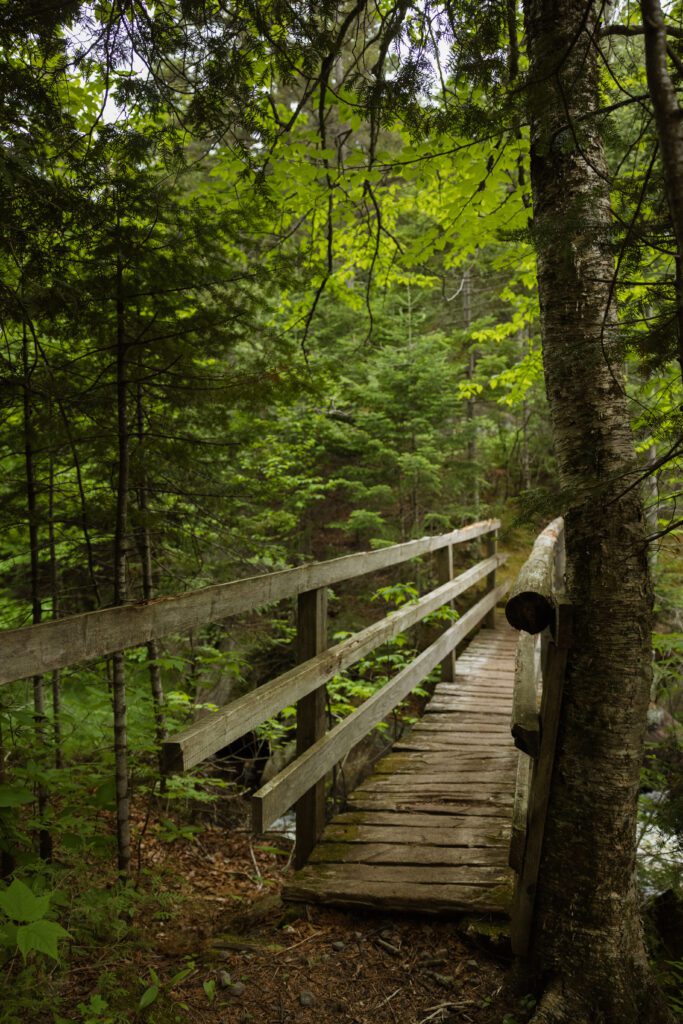 Petit pont en bois sur un sentier de randonnée à L'Interval.